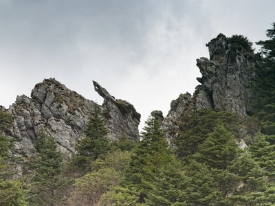 Fine Art Print of Shennongjia National Park, china, low angle view view by Assaf Frank