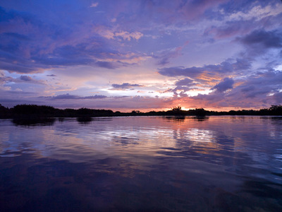 Fine Art Print of Mongrove River Sunset by Assaf Frank
