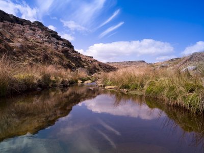 Fine Art Print of Burbage Brook, close-up, England by Assaf Frank