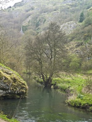Fine Art Print of Milldale Streem, Derbyshire, UK by Assaf Frank