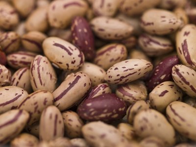 Fine Art Print of Close-up of Borlotti Beans by Assaf Frank