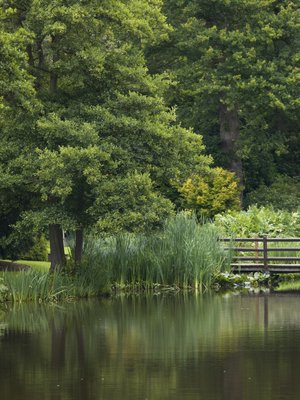 Fine Art Print of UK, Lake in garden by Assaf Frank
