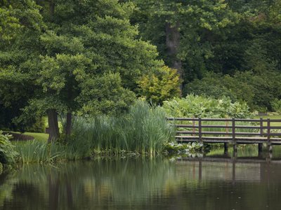 Fine Art Print of UK, Bridge over lake in garden by Assaf Frank