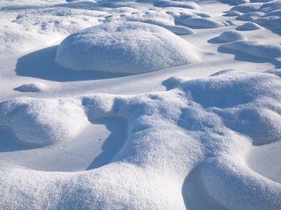 Fine Art Print of Snow Close-up by Assaf Frank