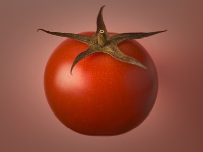 Fine Art Print of Tomato by Assaf Frank