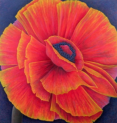 Fine Art Print of Big Poppy, 2003 by Ruth Addinall