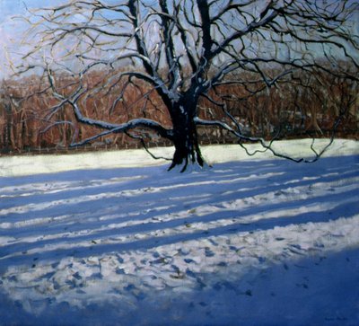 Large Tree, Snow, Calke Abbey (oil on canvas) by Andrew Macara - print