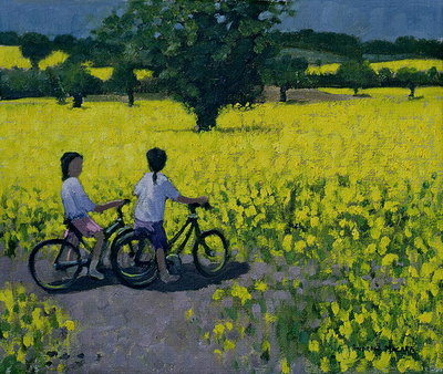 Yellow Field, Kedleston, Derby (oil on canvas) by Andrew Macara - print