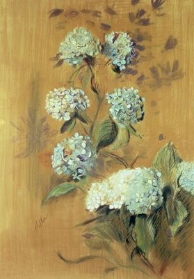 Hydrangeas (pastel on paper) by Paul Cesar Helleu - print