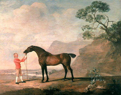Scapeflood by George Stubbs - print