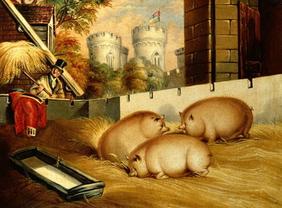 Three Pigs with Castle in the Background by English School - print