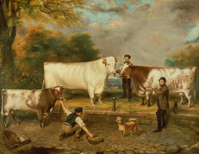 Cows with a herdsman (print) by English School - print