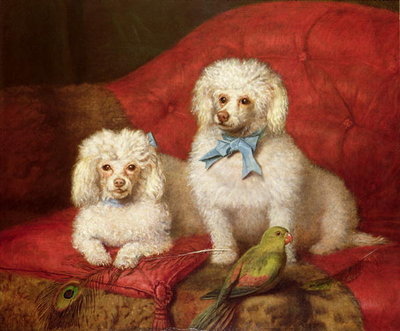 A Pair of Poodles by English School - print