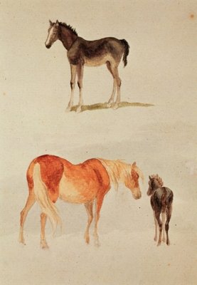Mares and foals (w/c) by Anonymous - print