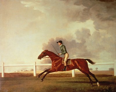 Bay Malton with John Singleton Up, c.1767 (oil on canvas) by George Stubbs - print