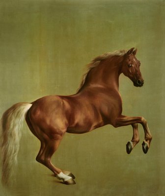 "Whistlejacket", 1762 by George Stubbs - print