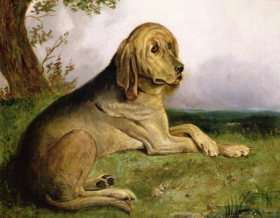A Bloodhound in a Landscape (oil) by English School - print
