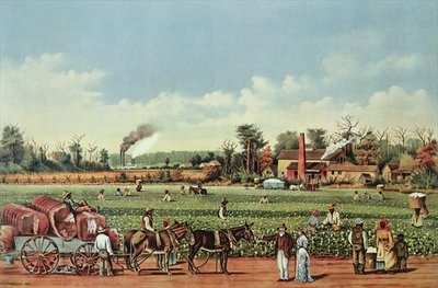 Fine Art Print of A Cotton Plantation on the Mississippi - the Harvest, engraved by Currier and Ives, 1884 by William Aiken Walker