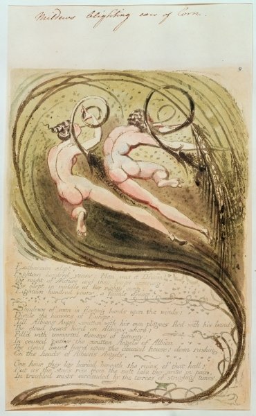 Mildew Blighting Ears of Corn by William Blake - print