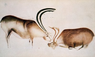 Male and female deer, Magdalenian school, c.13000 BC (cave painting) by Paleolithic - print