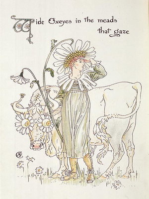 'Wild Oxeyes in Meads that Gaze', illustration to 'Flora's Feast, A Masque of Flowers' by Walter Crane - print