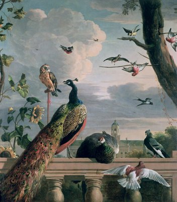 Palace of Amsterdam with Exotic Birds by Melchior de Hondecoeter - print