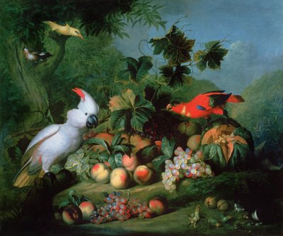 Fruit and Birds by Jakob Bogdani or Bogdany - print
