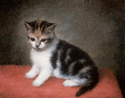 Miss Ann White's Kitten, 1790 by George Stubbs - print