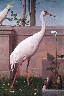 Indian Crane, Cockatoo, Bullfinch and Thrush by Henry Stacey Marks - print