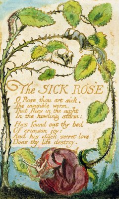 The Sick Rose, from Songs of Innocence (etching, ink &amp; w/c) by William Blake - print