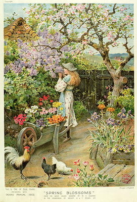 Spring Blossoms, from the Pears Annual, 1902 by William Stephen Coleman - print