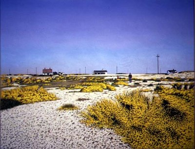 Summer with Friends, 1990 (oil on canvas) by Brian Yale - print