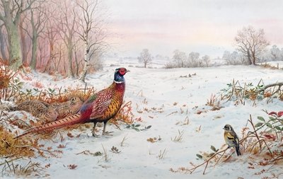 Pheasant and bramblefinch in the snow by Carl Donner - print