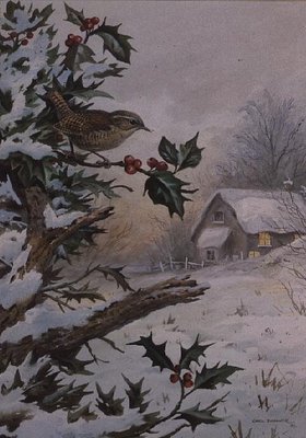 Wren in Hollybush by a cottage by Carl Donner - print
