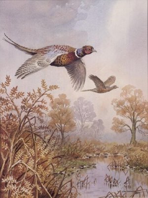 Over the Fen by Carl Donner - print