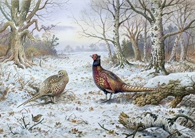 Pair of Pheasants with a Wren by Carl Donner - print