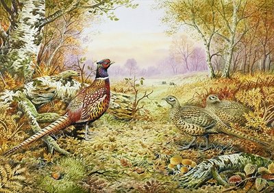 Pheasants in Woodland by Carl Donner - print
