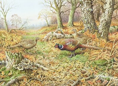Pheasants with Blue Tits by Carl Donner - print