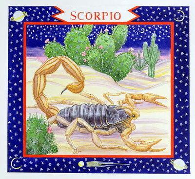 Scorpio (w/c on paper) by Catherine Bradbury - print