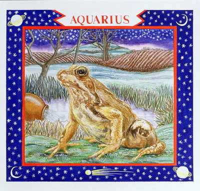 Aquarius (w/c on paper) by Catherine Bradbury - print