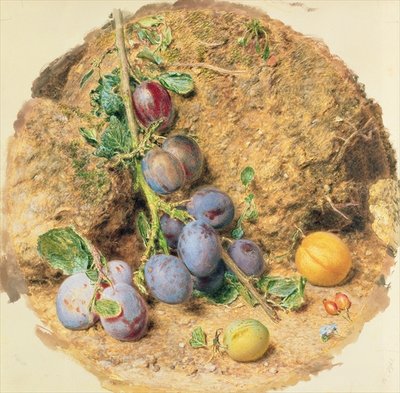 Fine Art Print of Plums by William Henry Hunt