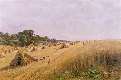 Cornfield Harvest by Edward Wilkins Waite - print