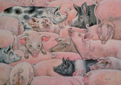 Pig-Spread by Ditz - print