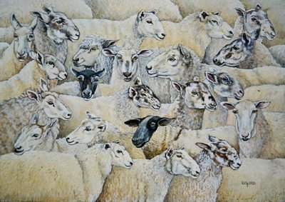 Sheep-Blanket by Ditz - print