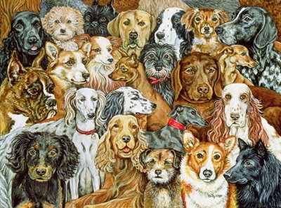 Dog Spread by Ditz - print