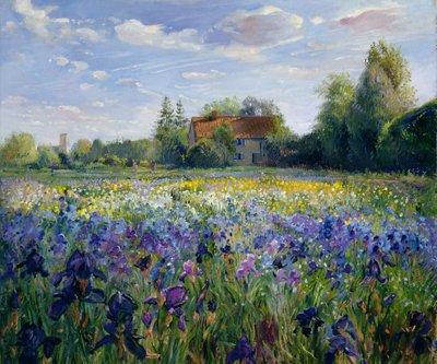 Evening at the Iris Field by Timothy Easton - print