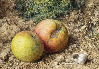 Fine Art Print of Still life with two apples and a snail shell by William Henry Hunt