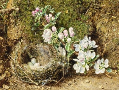 Fine Art Print of Branch of Apple Blossom and Bird's Nest by William Henry Hunt
