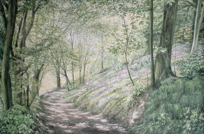 Fine Art Print of Spring in Pembrokeshire by Jane Carpanini