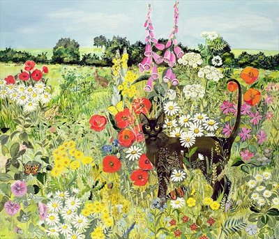 Summer Cat by Hilary Jones - print